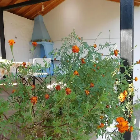 Apartment με ησυχία και θέα Skopelos Town